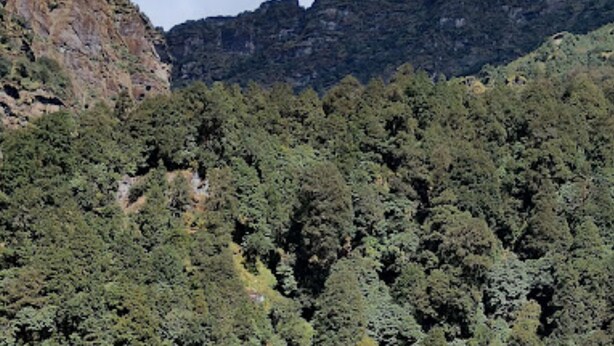 Un paysage montagneux caractérisé par une forêt dense.