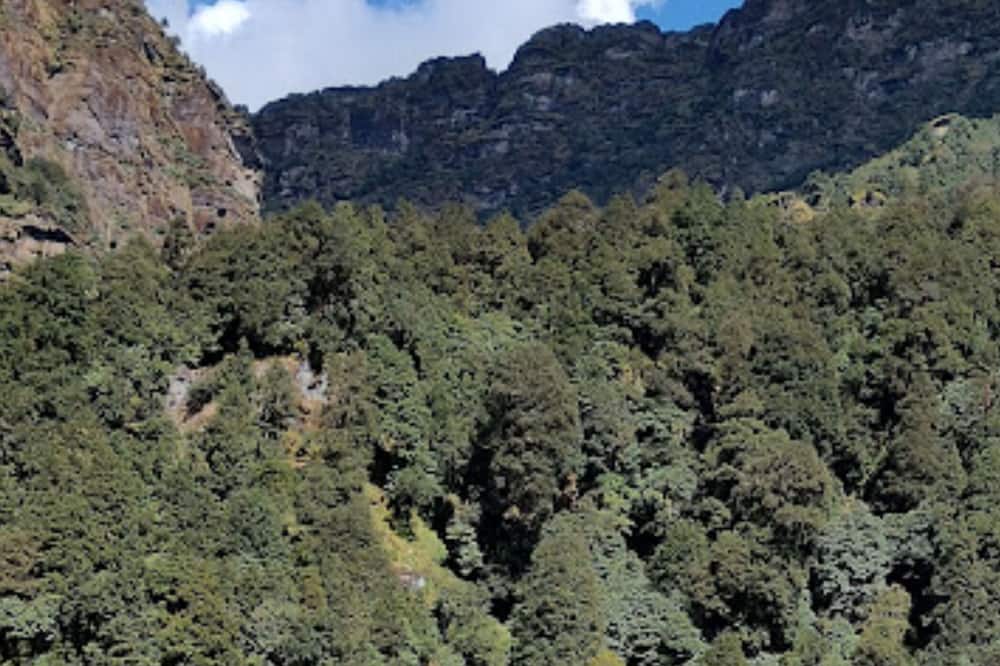 Amar Resort Chopta Tungnath