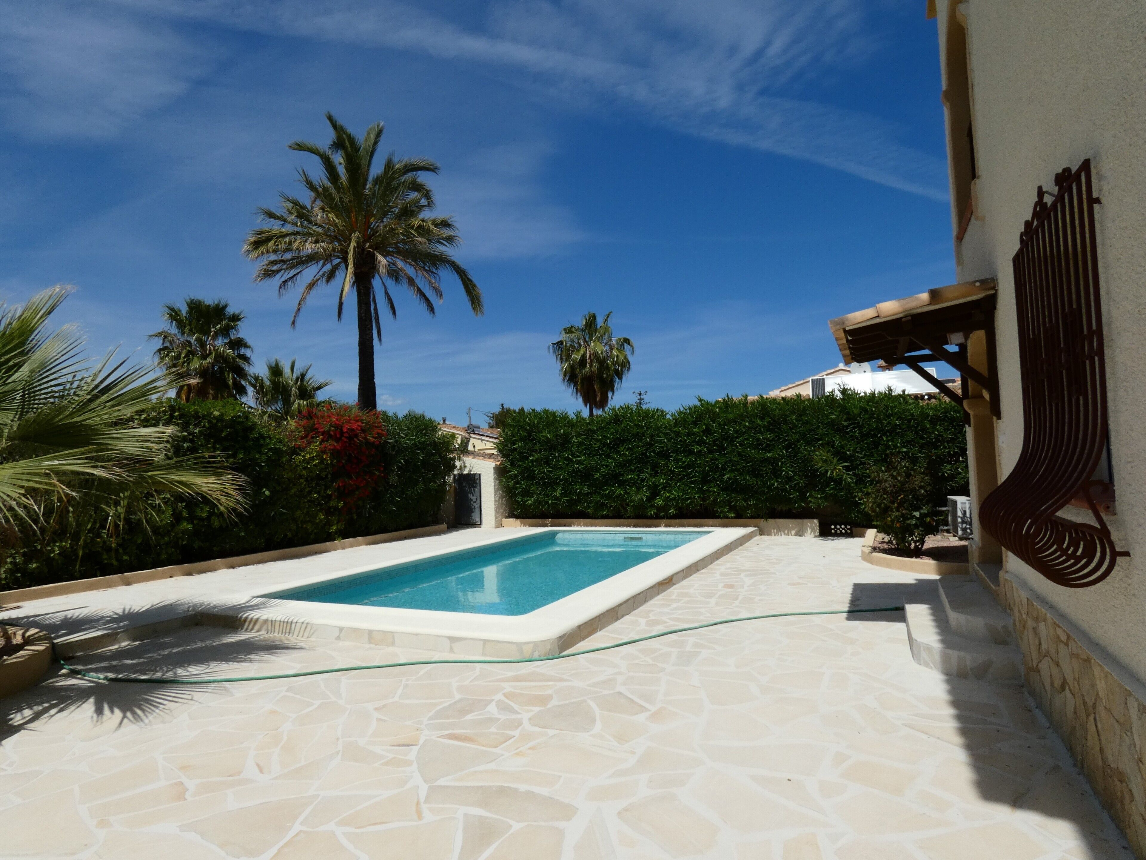 A swimming pool with stone tiles, surrounded by palm trees and a hedge.