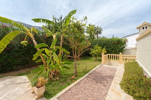 A garden with a stone pathway, a small palm tree, and a potted plant.