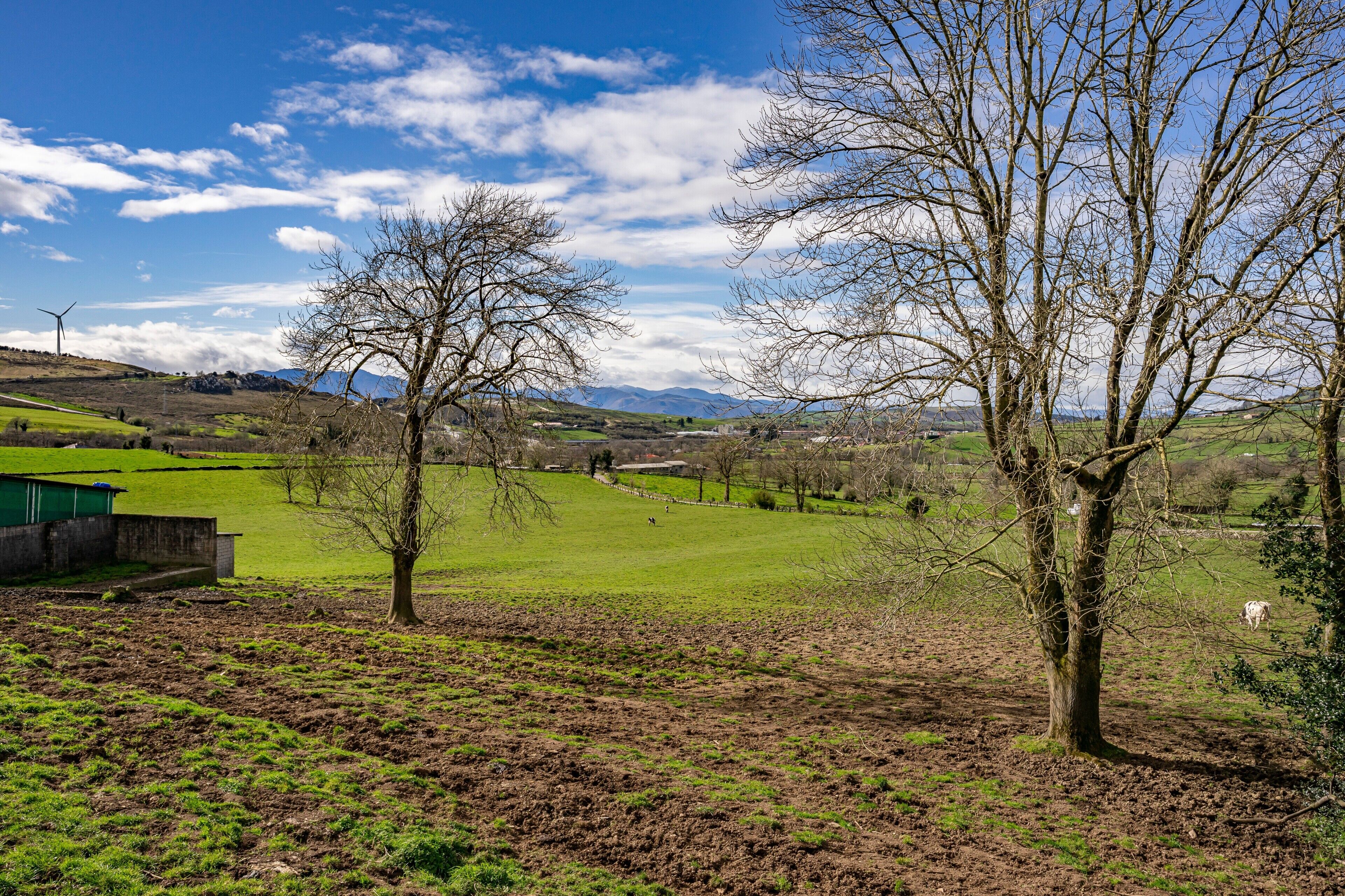 Paisaje rural con un aerogenerador, campos abiertos y algunos árboles.