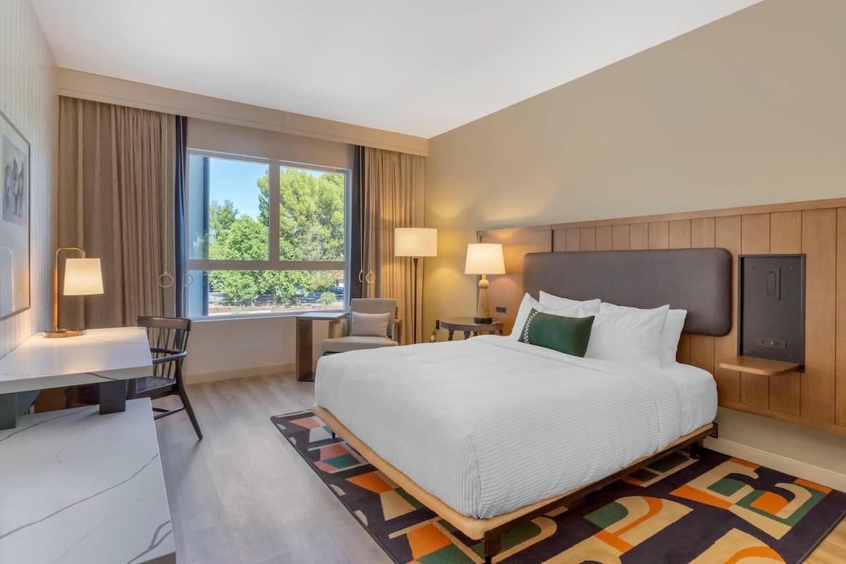 Une chambre d’hôtel avec un lit, un bureau, deux lampes, une télévision et une fenêtre donnant sur des arbres.