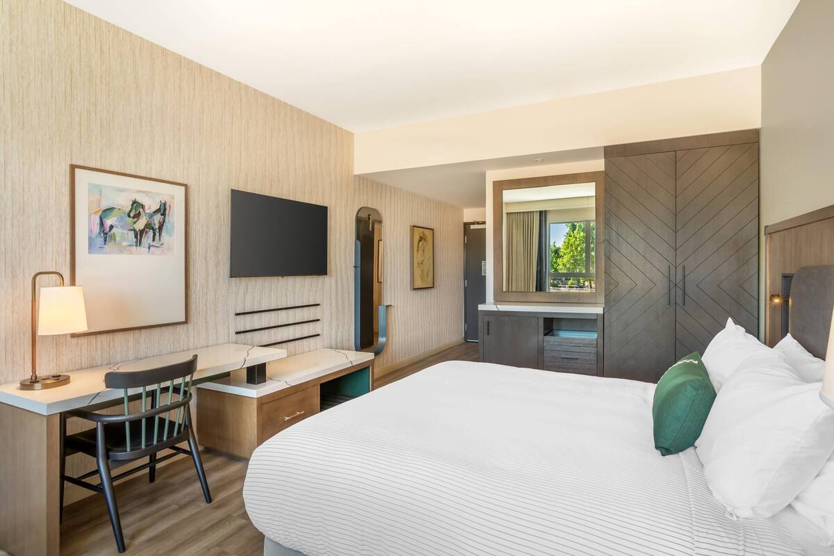 Une chambre d’hôtel équipée d’un lit, d’un bureau, d’une chaise, d’une télévision et offrant une vue sur l’extérieur.