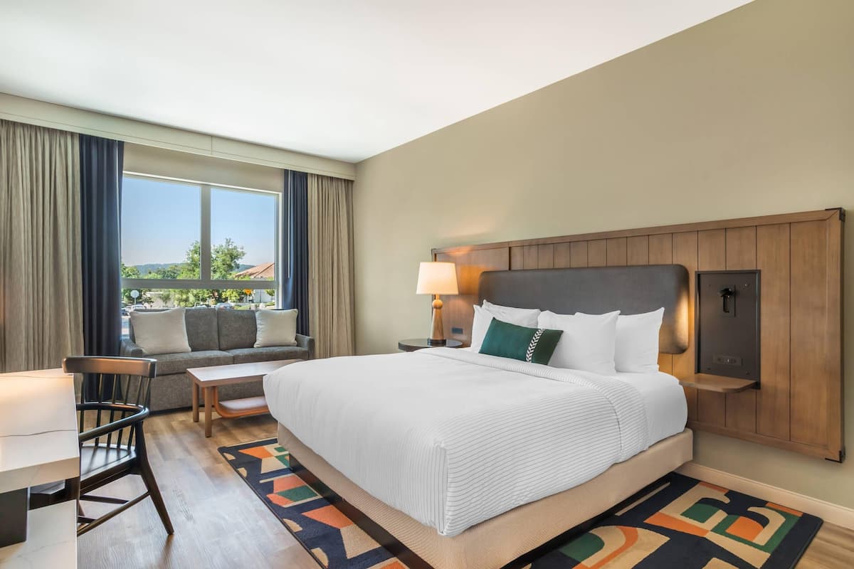 Standard Room, 1 King Bed with Sofa bed, Non Smoking