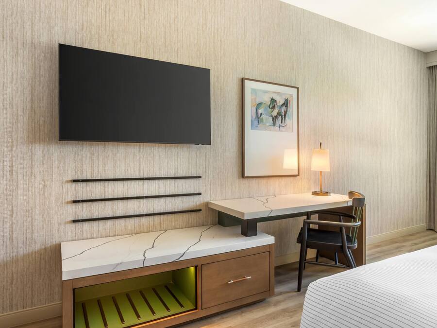 Una habitación de hotel con cama, escritorio con silla, televisor montado en la pared, un cuadro enmarco y una lámpara.