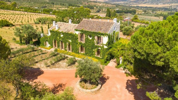 Une villa avec un toit en tuiles, entourée d’oliviers et de vignes, et un chemin de terre menant à l’entrée.