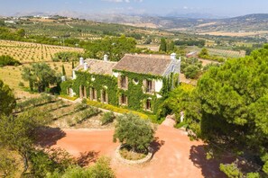 A villa with a tiled roof, surrounded by olive groves and vineyards, with a dirt path leading to the entrance.