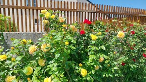 A garden with yellow and red roses in front of a wooden fence and a building with windows.
