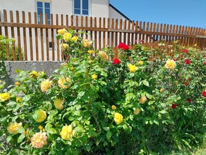 Detalle del exterior