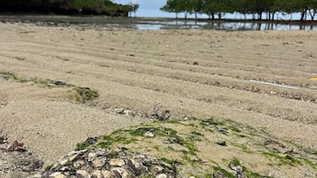 Vue sur la plage/lâocĂ©an