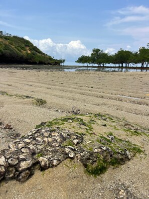 Luxury Double Room, Ocean View | Beach/ocean view - La Benderas  (Kilifi)
