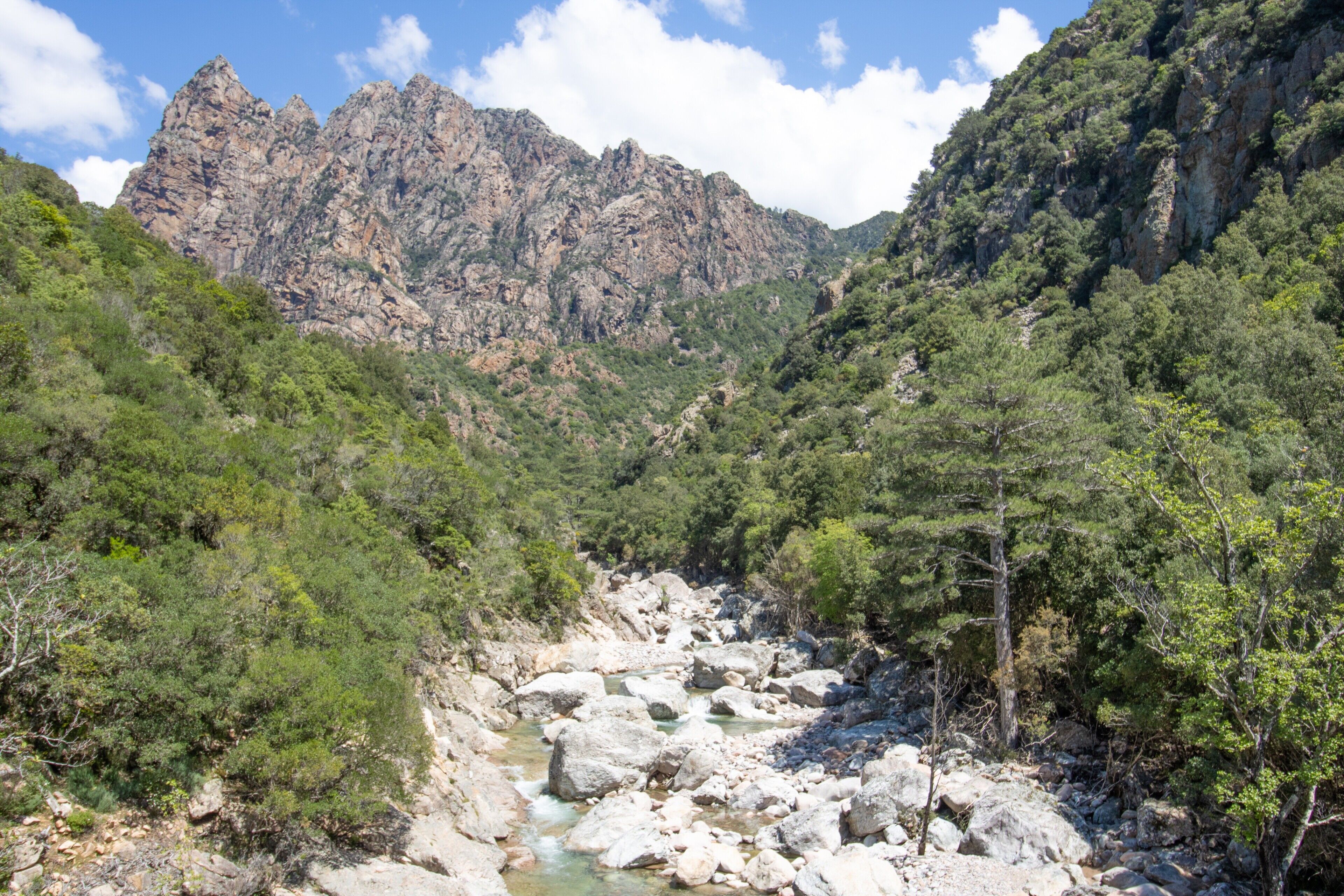 Un paysage montagneux avec une rivière, un terrain rocheux et une forêt dense.