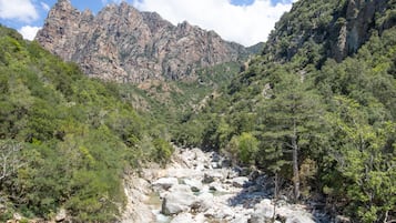 Un paysage montagneux avec une rivière, un terrain rocheux et une forêt dense.