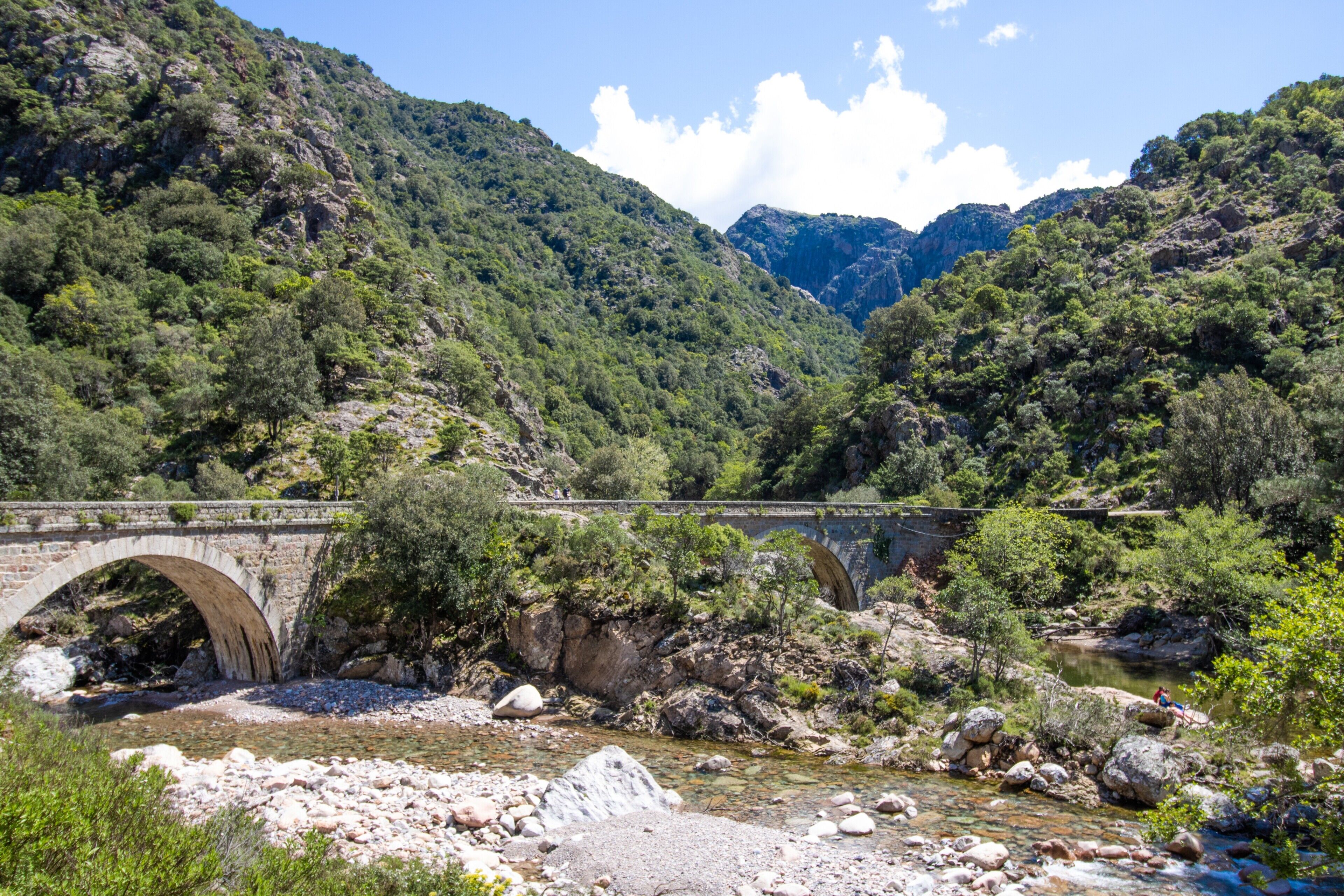 A stone bridge over a river with rocky banks and dense greenery.