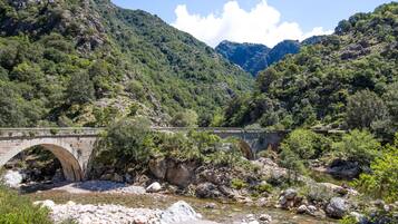 A stone bridge over a river with rocky banks and dense greenery.