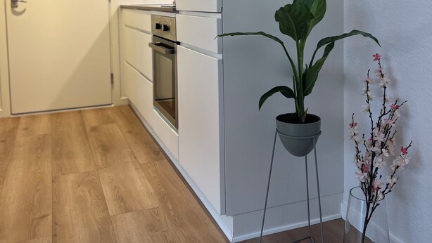 A modern kitchen with white cabinetry, a built-in oven, and a potted plant. - Cozy Flats Silkeborg - S2 (Silkeborg)