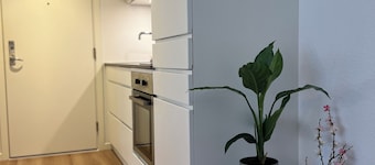 Cozy Flats Silkeborg - S2