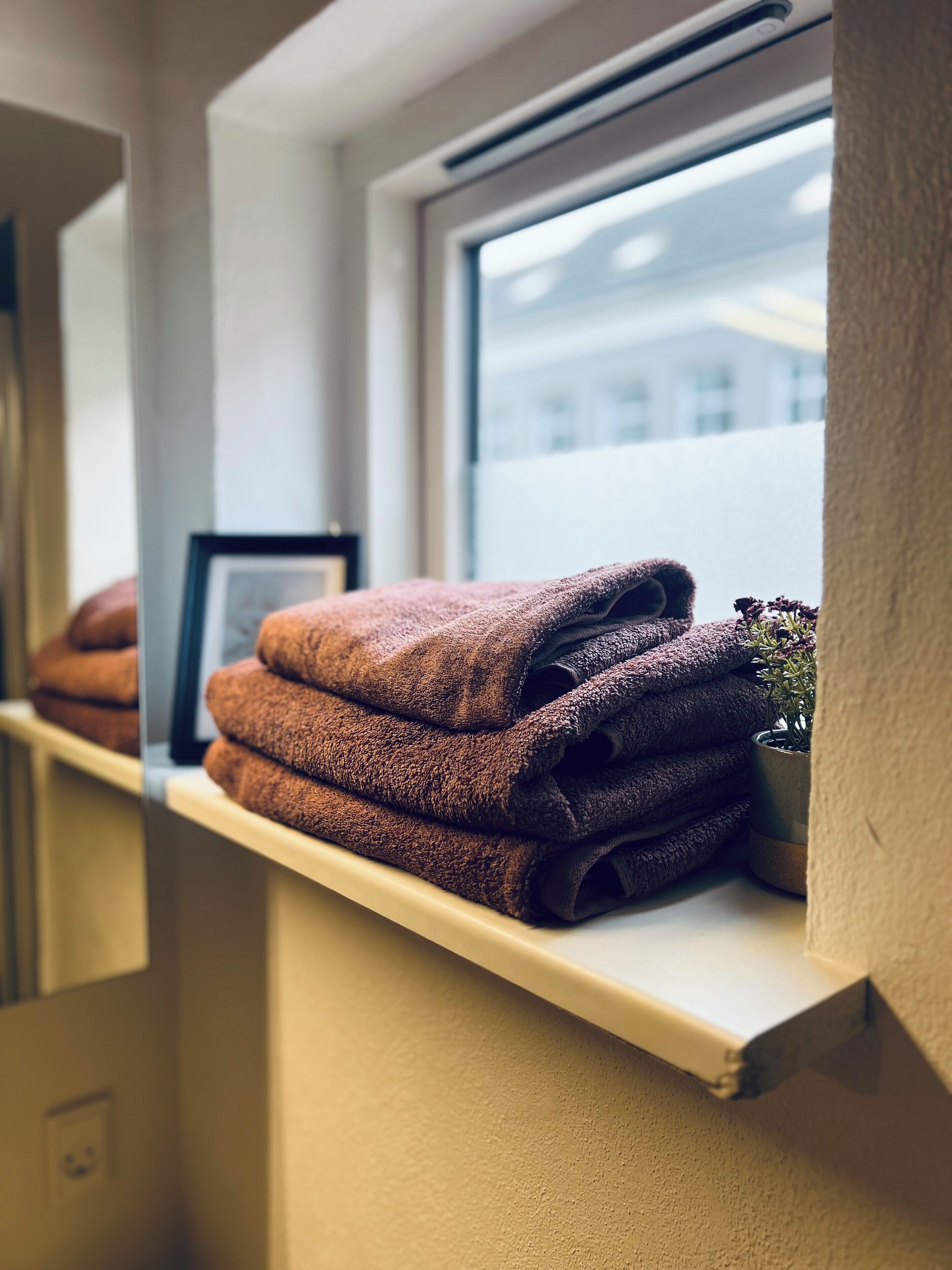 A shelf with folded towels and a potted plant.