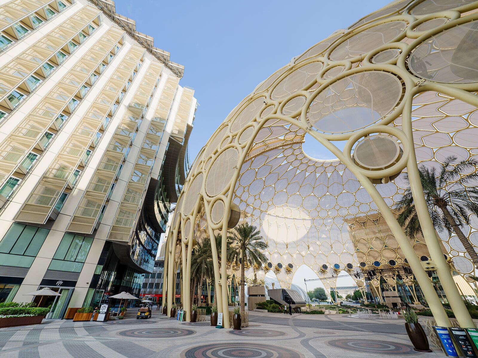 A modern building with a unique circular glass facade and a plaza with palm trees.