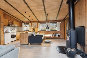 DVD player, stereo - Cozy summer house in Trend (Løgstør)