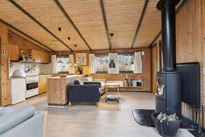 TV, DVD player, stereo - Cozy summer house in Trend (Løgstør)