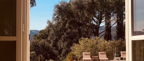 Suite superior, baño privado | 1 dormitorio y wifi gratis