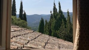 Une fenêtre donnant sur un toit recouvert de tuiles et les arbres environnants.