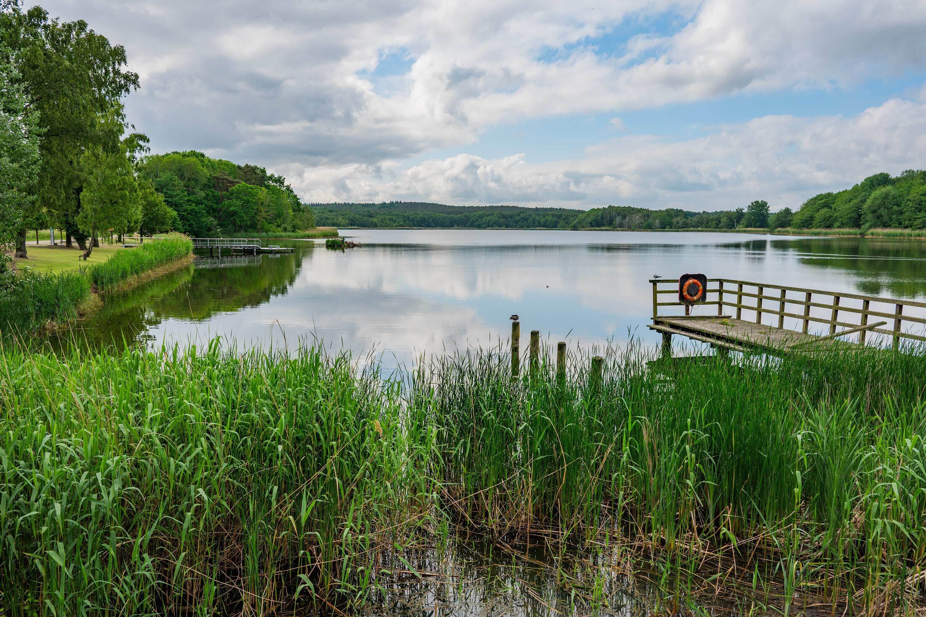 A calm lake with a wooden dock and a lifebuoy, surrounded by lush greenery and trees.