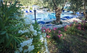 Pool - Residence L'Antico Frantoio - No. 4 Trilo 6 (Puglia)