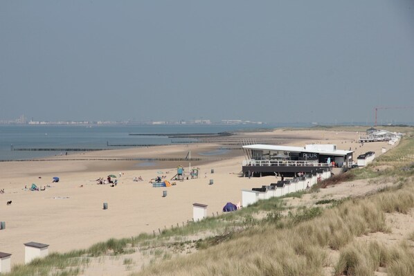 Una playa cerca