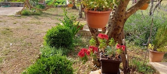 Rural Apartment Ante
