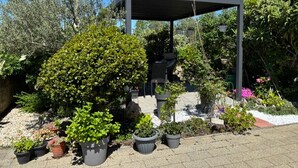 Un jardín con una pérgola, diferentes macetas y un cielo azul despejado.