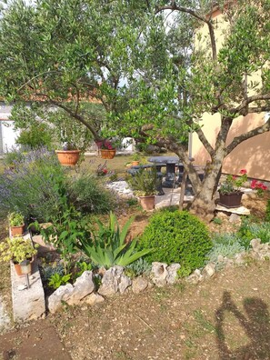 Property grounds - Rural Apartment Ante (Brištane)