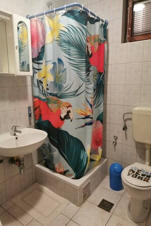 Shower, hair dryer, towels