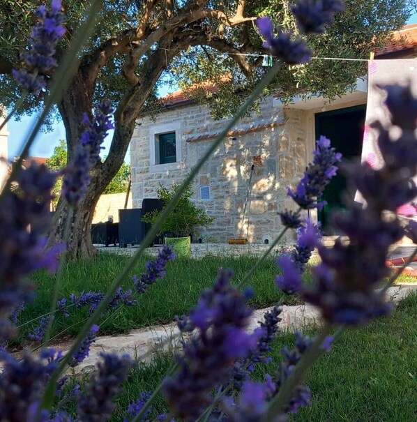 Enceinte de lâhĂ©bergement