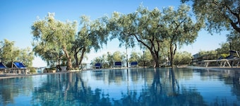 Residence L'Antico Frantoio - No. 5 Trilo 6