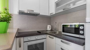 Fridge, oven, stovetop, electric kettle