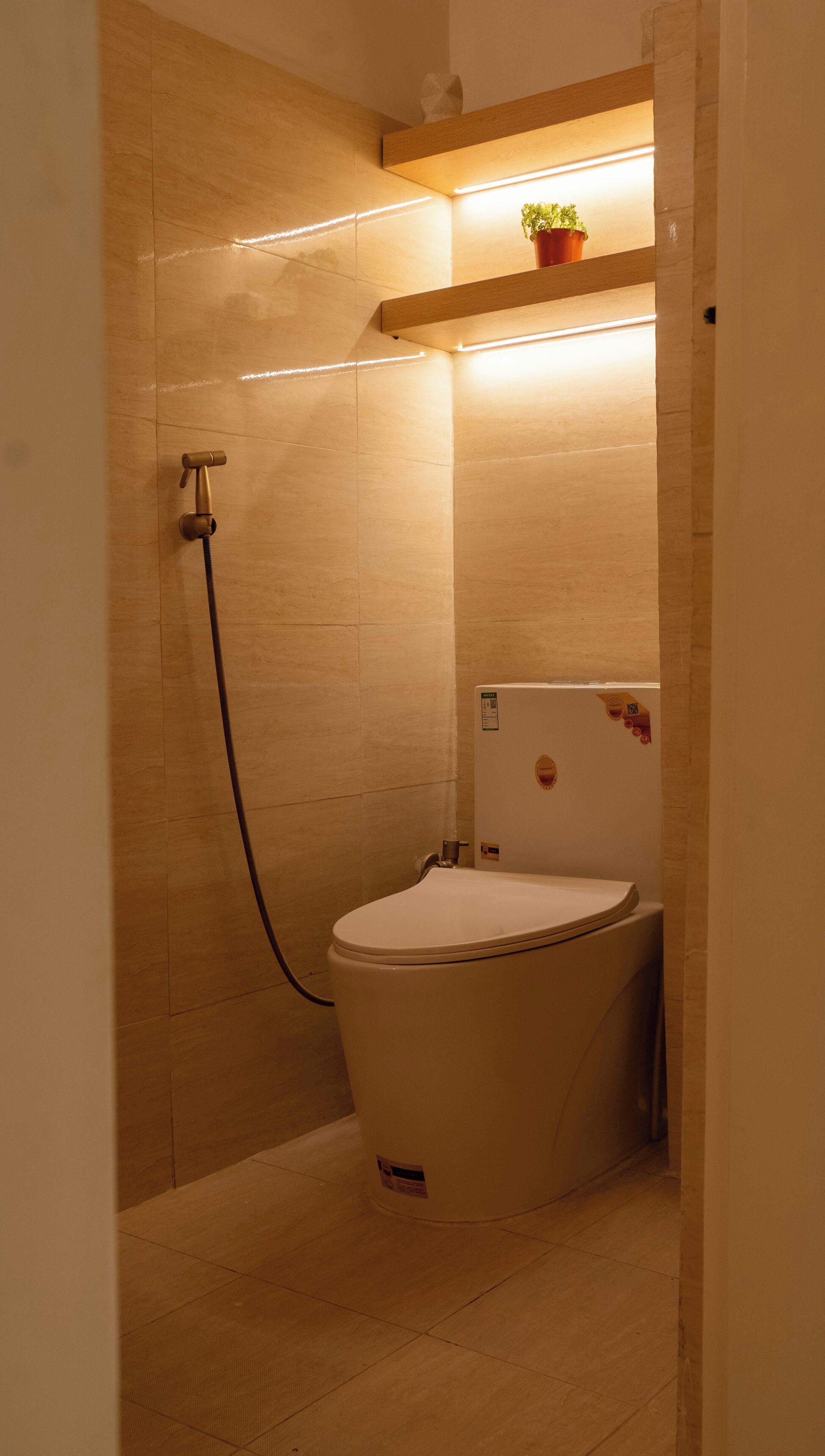 A bathroom with a toilet, a shower, and a shelf with a potted plant.