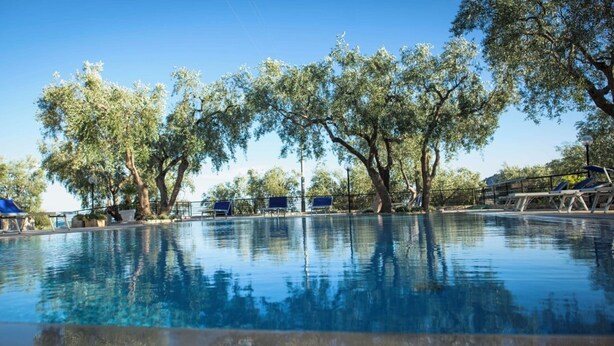 A clear swimming pool surrounded by trees and lounge chairs. - Residence L'Antico Frantoio - No. 6 Bilo 4 (Puglia)