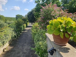 Overnattingsstedets uteområder