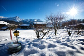 Property grounds - Spacious family chalet near Villars (Huémoz)
