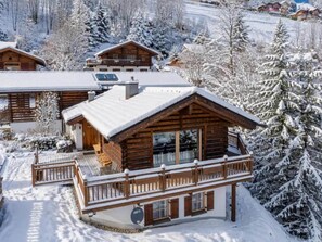 Exterior - Family Ski Chalet with Views (Wald-Königsleiten)