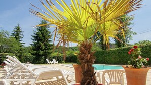 A poolside area with lounge chairs, a palm tree, and a flower pot.