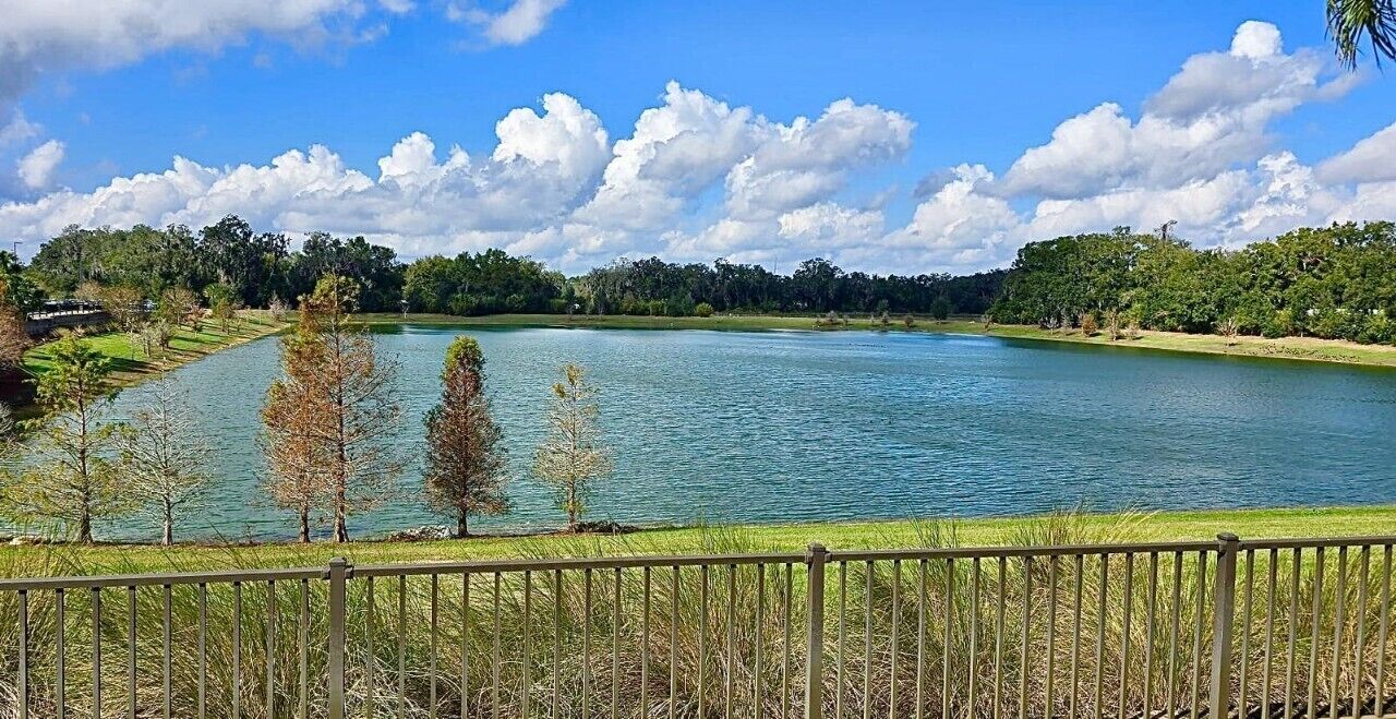 A lake with a grassy shoreline and a metal fence in the foreground.