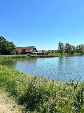 Property grounds - Tiny Sun House (Heinkenszand)
