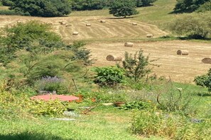 Surrounded by rolling hills and lush vegetation, this serene landscape offers a peaceful retreat.