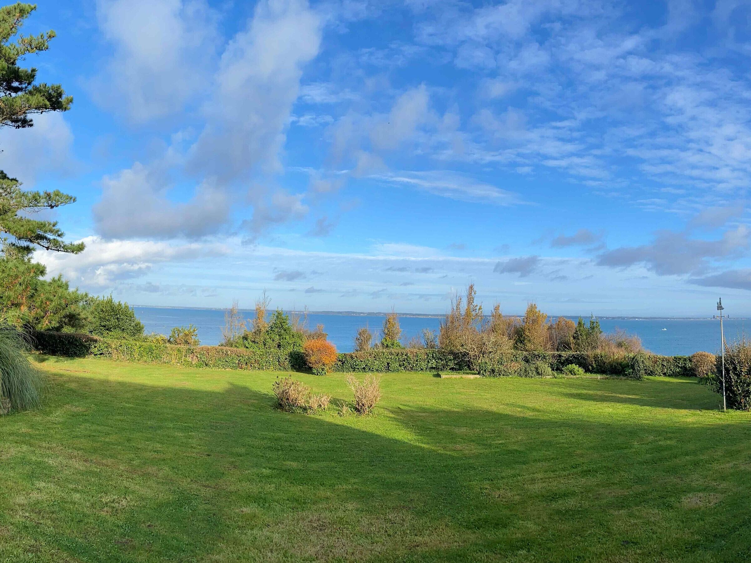 Ein grasbewachsenes Feld mit Bäumen und blauem Himmel.