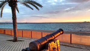 Un cañón sobre una zona pavimentada amb una palmera i vista al mar.