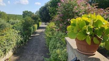 Terrein van de accommodatie