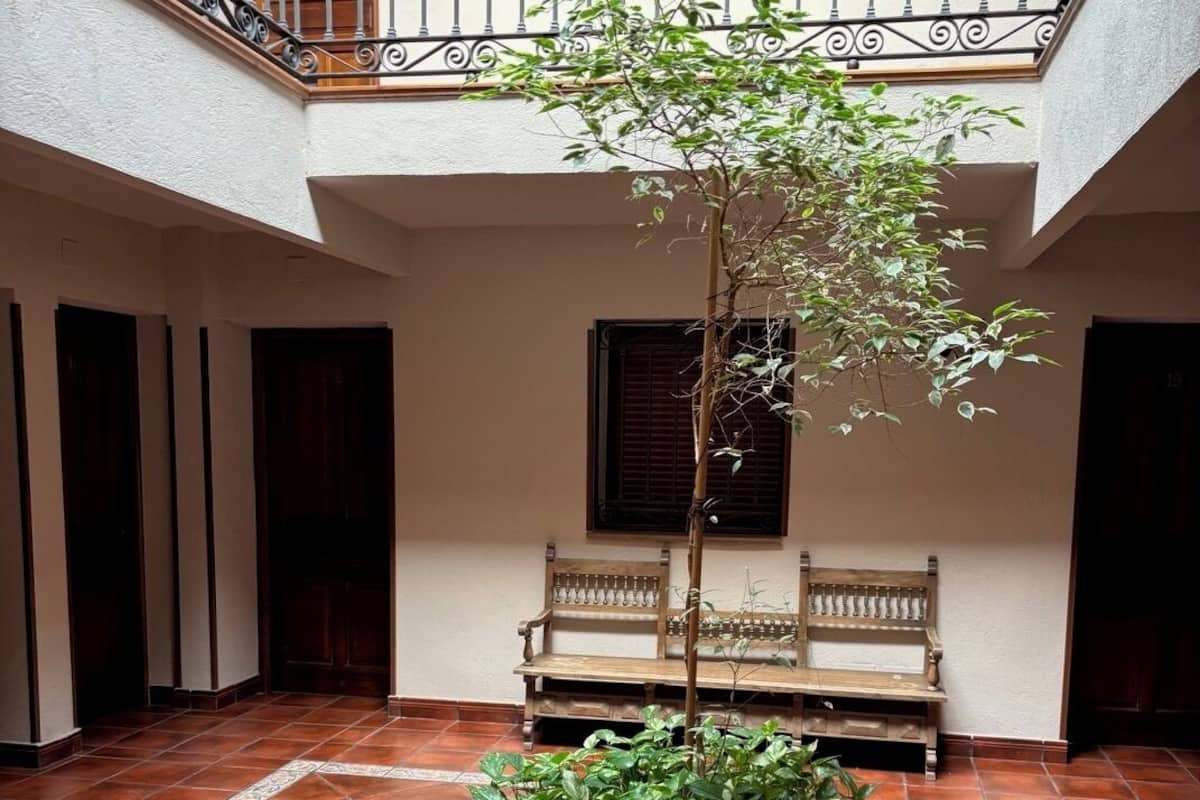 Un patio con piso de baldosas, un banco de madera y una planta en maceta.